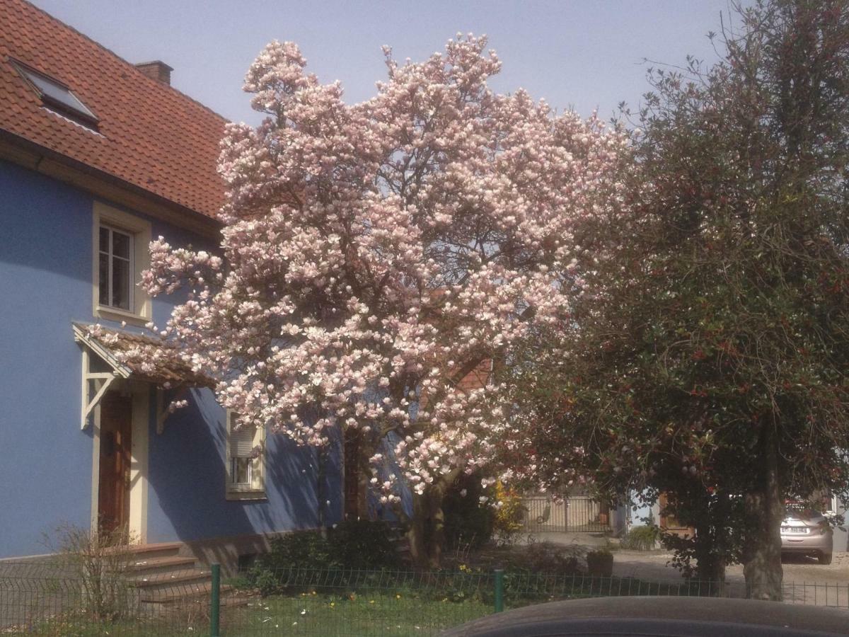 Maison Des Ecluses Strasbourg F3 90M2 Jacuzzi Climatisation Kültér fotó