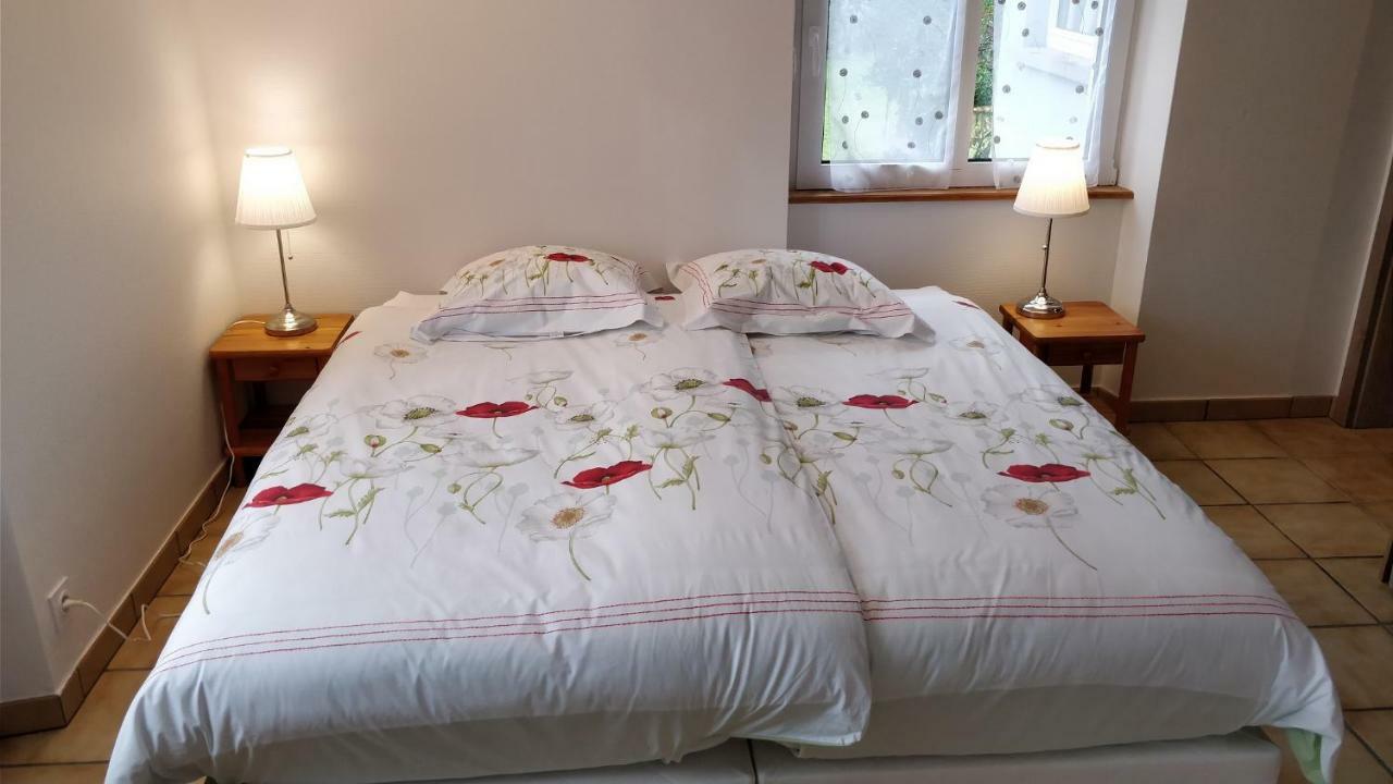 Maison Des Ecluses Strasbourg F3 90M2 Jacuzzi Climatisation Kültér fotó